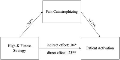 Life history strategy and romantic satisfaction in patients’ behavior